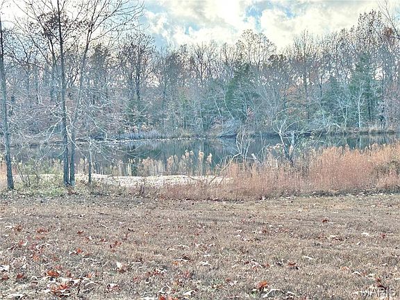 4th image of 172 Cherryville Rd