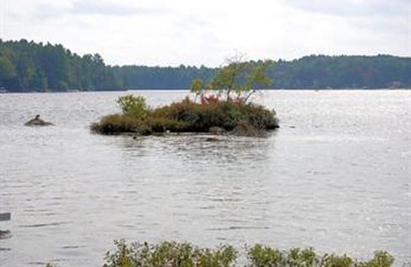 2nd image of LOT 1 Lakeshore Dr
