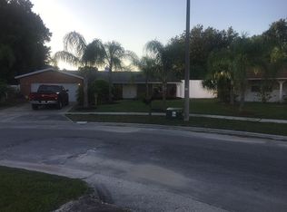 729 Sailfish Dr, Brandon, FL 33511