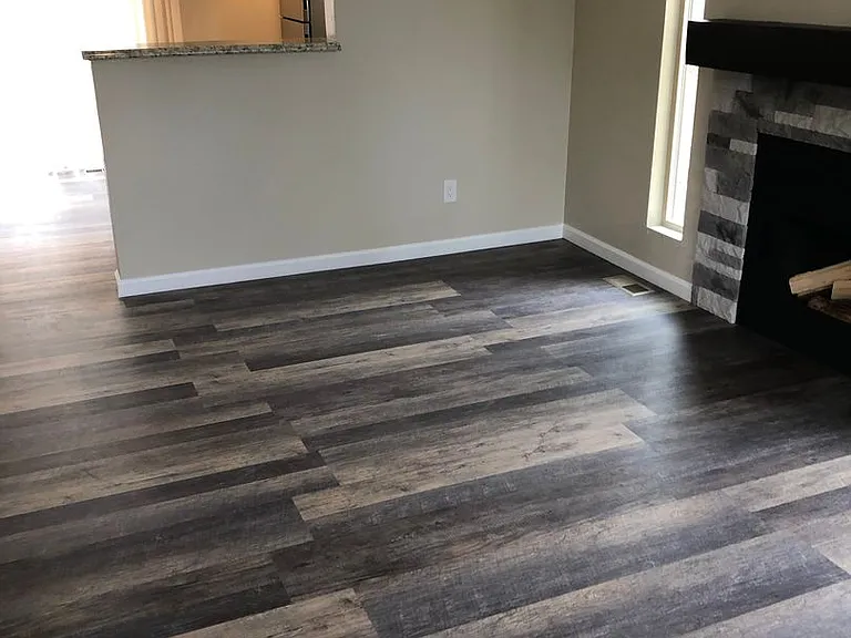 3733 Red Canon Pl — Photo 5