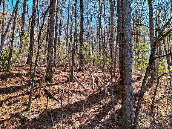5th image of 1714 Spring View Ln