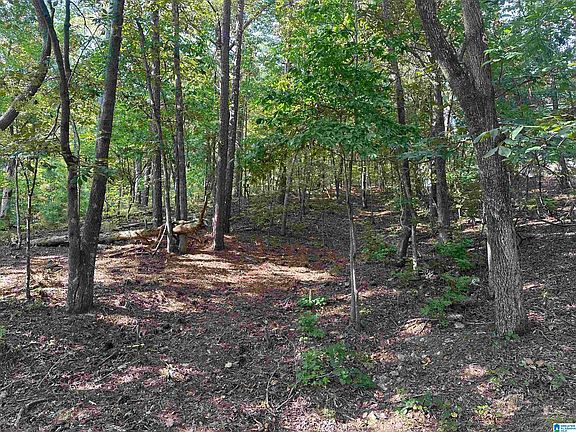 4th image of 170 Griffitt Bend Rd