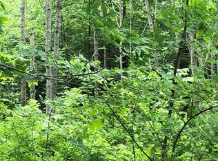 101 Monkey Run Rd, Pt Crane, NY 13833