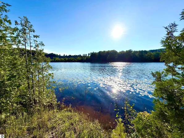 7932 Rushton Rd, Ellsworth, MI 49729