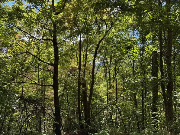 16-18 Burnt Leaf Ln, Hayesville, NC 28904