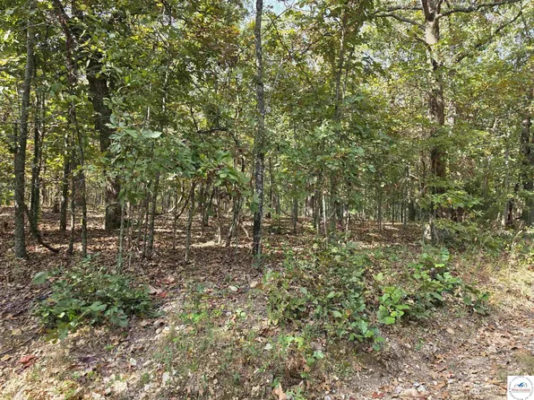 Ataskog Dr, Edwards, MO 65326