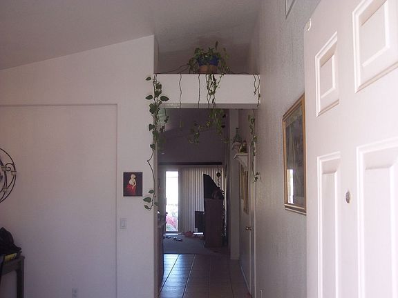 Entry. High, high ceilings with fabulous plant shelves!