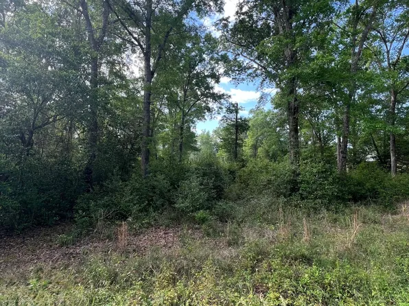 0 Cork Ferry Rd, Cordele, GA 31015