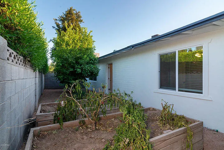 amelia private yard_01252022