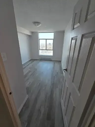 2 bed, 1.0 bath, 780 sqft, $2,000 — Photo 4