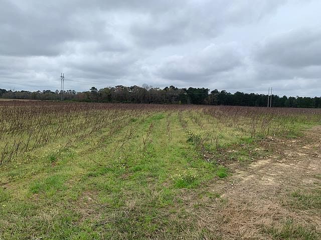 2nd image of 0 Hutchinson Rd W