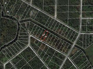 NW Avenue Lot #10, Webster, FL 33597
