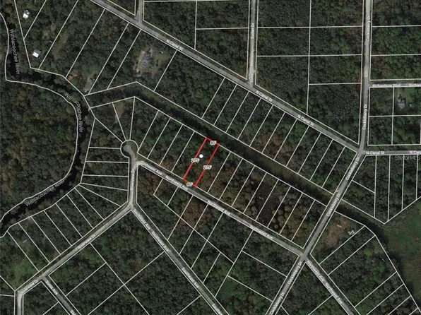 NW Avenue Lot #10, Webster, FL 33597