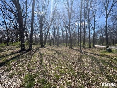 6 Flax Rd, Macomb, IL, 61455