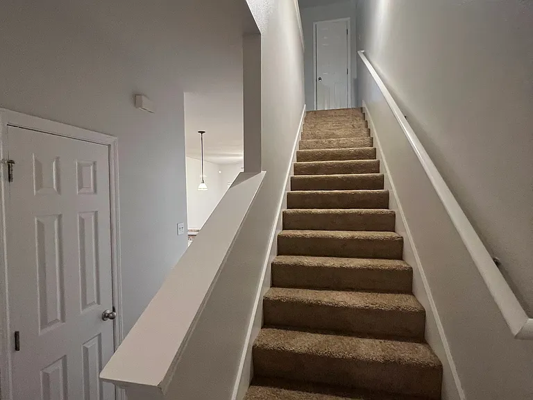 1900 Carrollwood Dr #3 — Photo 38