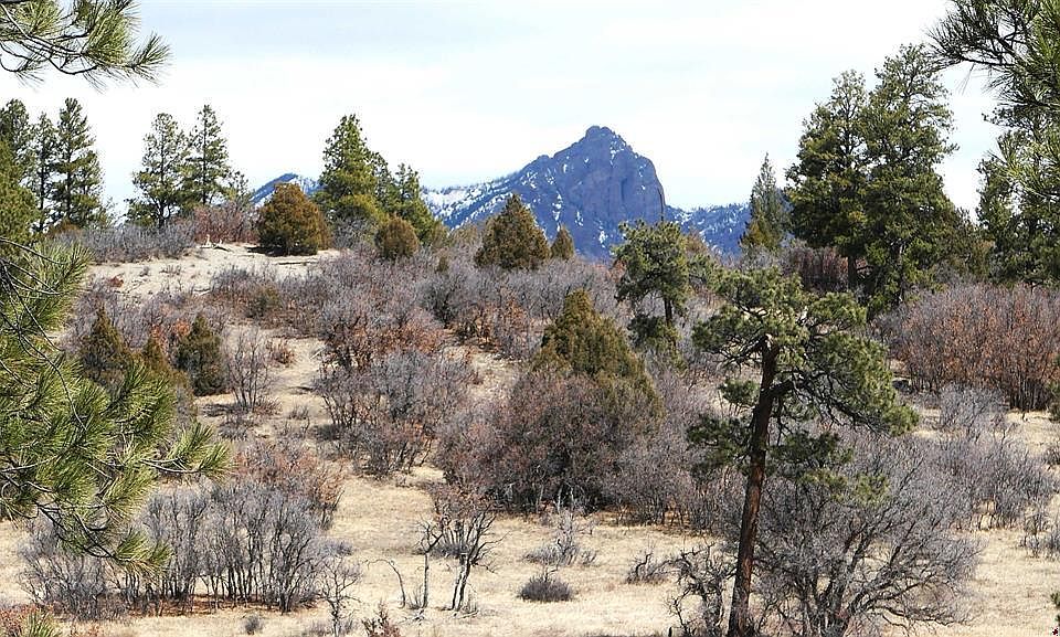 1st image of 673 Spring Creek Circle