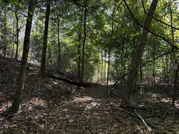 0 Dutch Ridge Rd SE Tract 6, New Straitsville, OH 43766