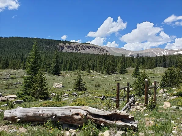 86 Timberline Trail, Fairplay, CO 80440