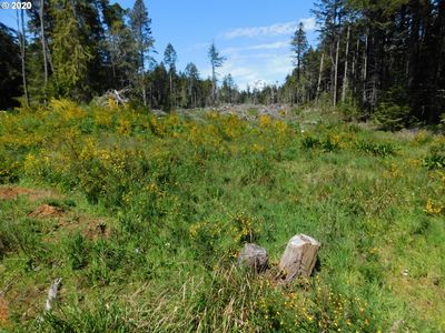 Cemetery Loop Rd, Pt Orford, OR, 97465