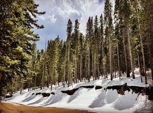 777 Missouri Gulch Rd, Black Hawk, CO 80422