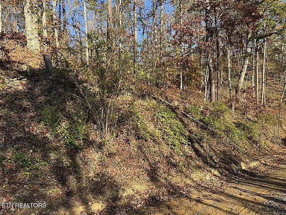 5th image of 0 Mulberry Way Lot 42
