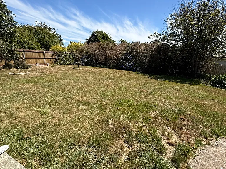 344 Joaquin St — Photo 22