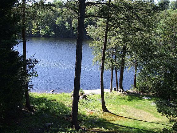 View from the back deck