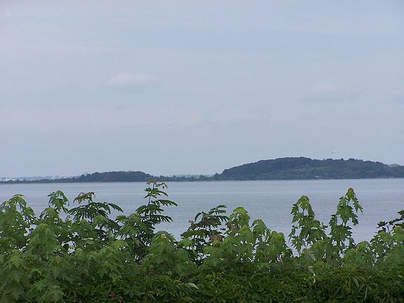 view from enclosed veranda
