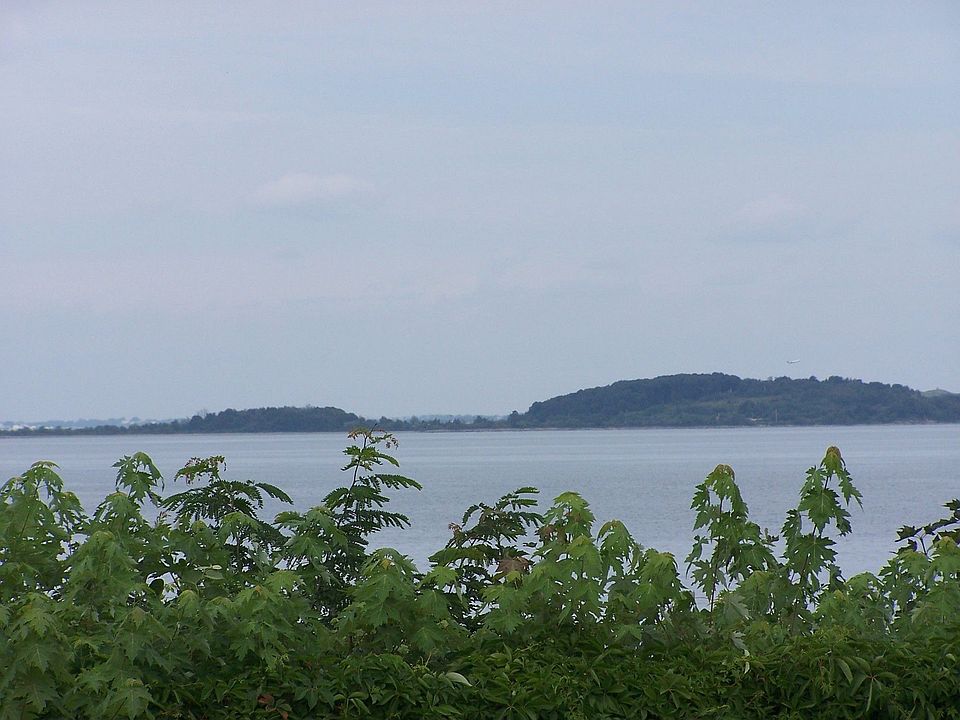view from enclosed veranda