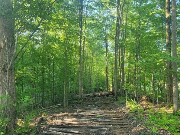 Sheffield Rd, Ashtabula, OH 44004