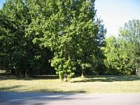 1st image of 111 Foxland Dr
