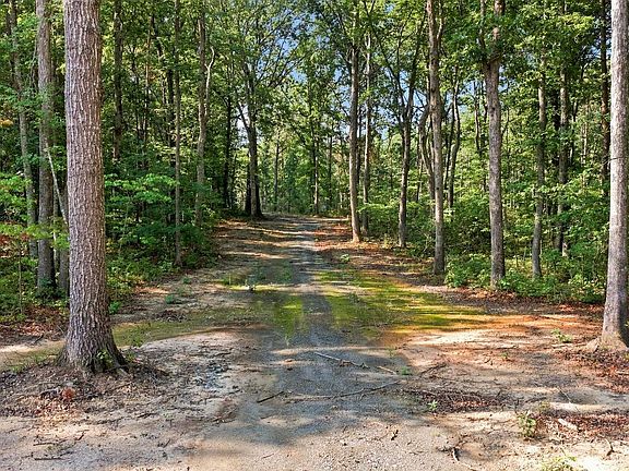 2nd image of 13009 Orange Plank Rd
