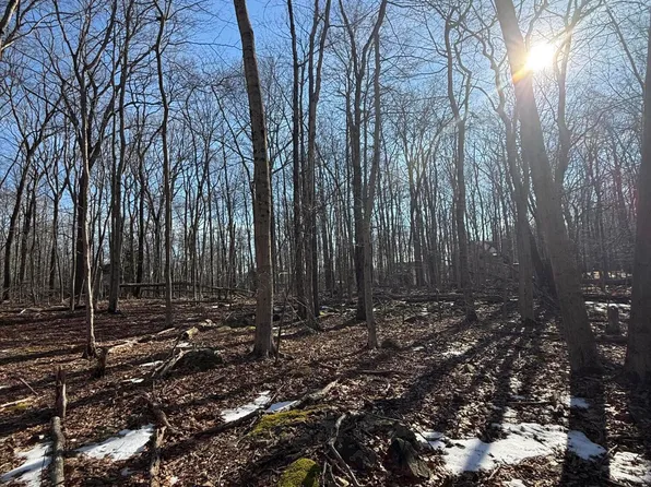 803 Selig Rd, Pocono Lake, PA 18347