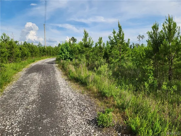 1 Milldale Rd, Brookwood, AL 35444