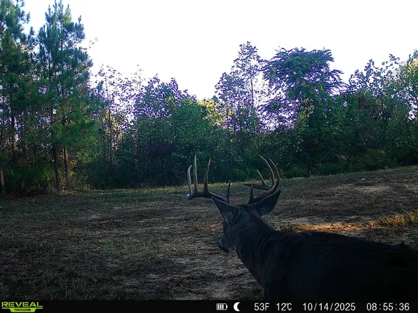 0 Raysville Rd, Ray, OH 45672