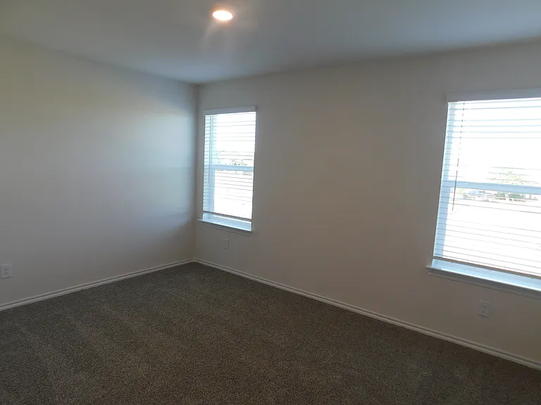 7011 Jessamine Dr — Photo 12