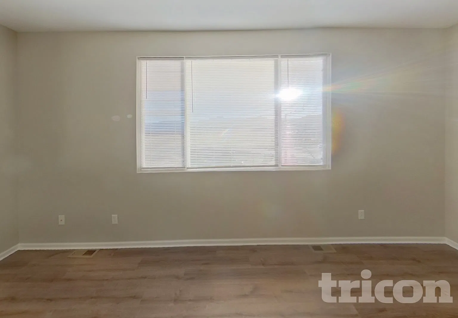11704 Wildwood Ridge Dr Colorado Springs CO — Photo 2