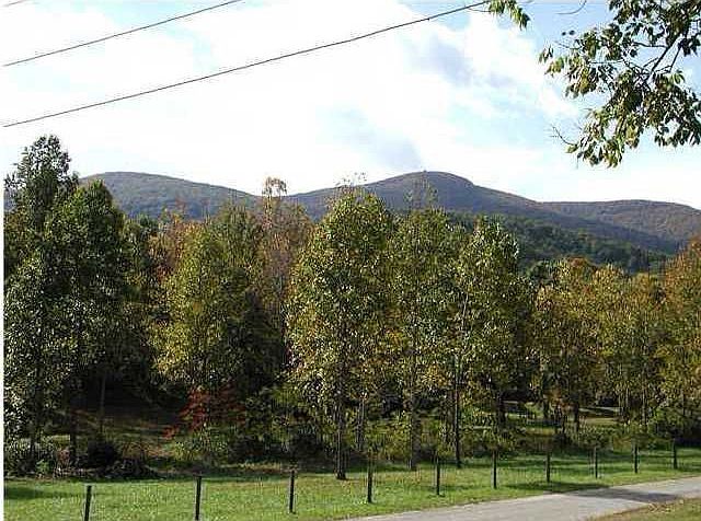2nd image of 923 Chapel Hollow Rd