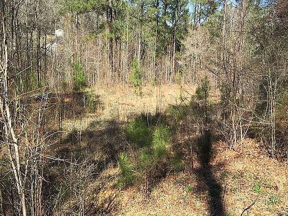4th image of 11238 Woodbank Pkwy