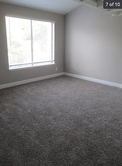 850 Bellomy St #12 — Photo 7