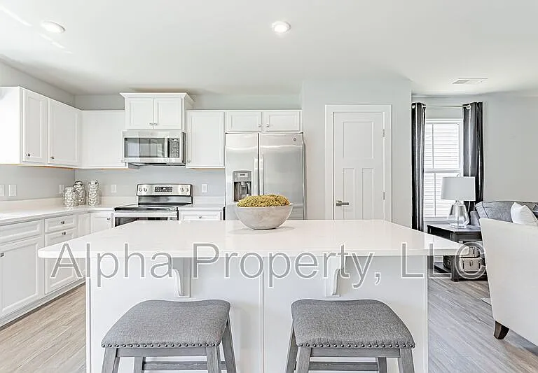 505 Olivia Springs Dr — Photo 11
