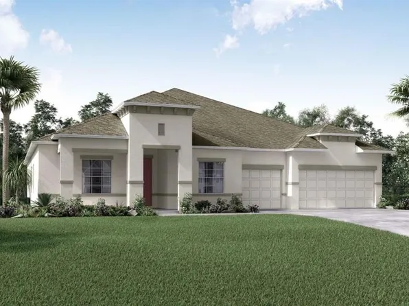 9978 Dolphin Gull Cir, Thonotosassa, FL 33592