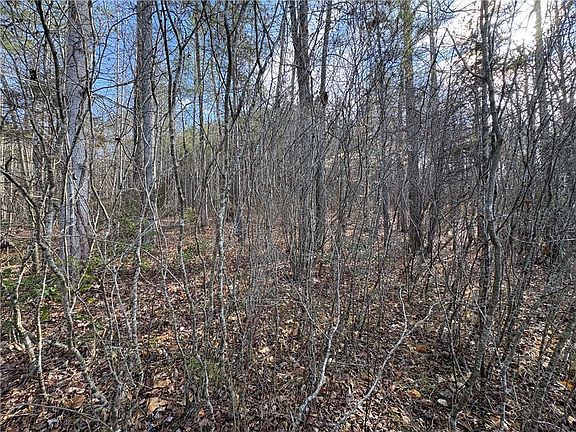 4th image of 621 The Bear Blvd