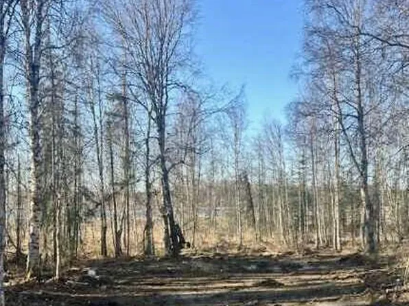 13026 N Pettis Dr, Willow, AK 99688
