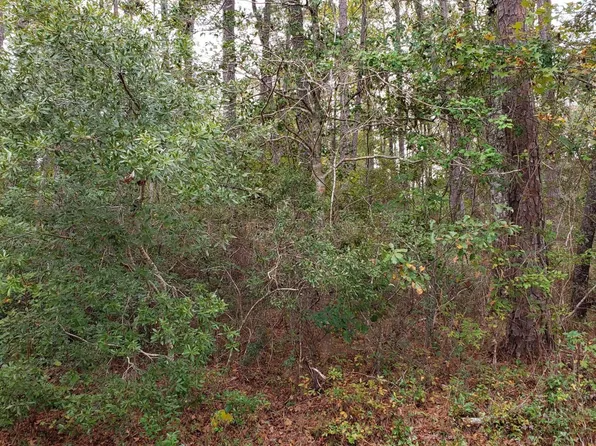8 Gumwood Drive, Carolina Shores, NC 28467