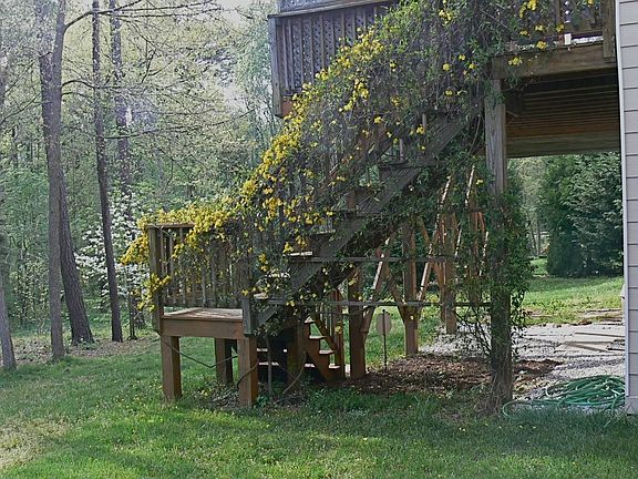 Private & level yard