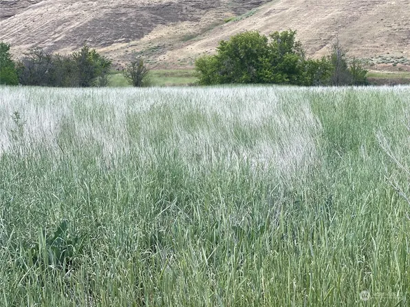 0 Kellogg Hollow Road, Dayton, WA 99328