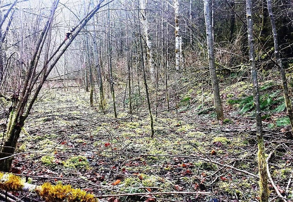 1st image of 0 Highland Valley Rd