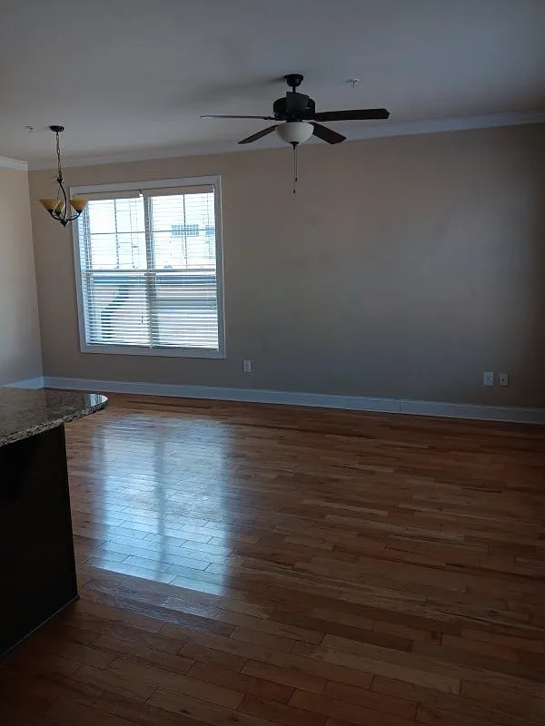 2 bed, $1,295 — Photo 1