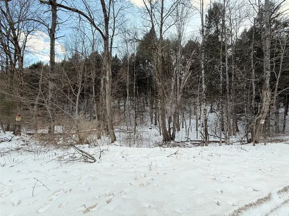 848 Ouaquaga Rd, Windsor, NY 13865